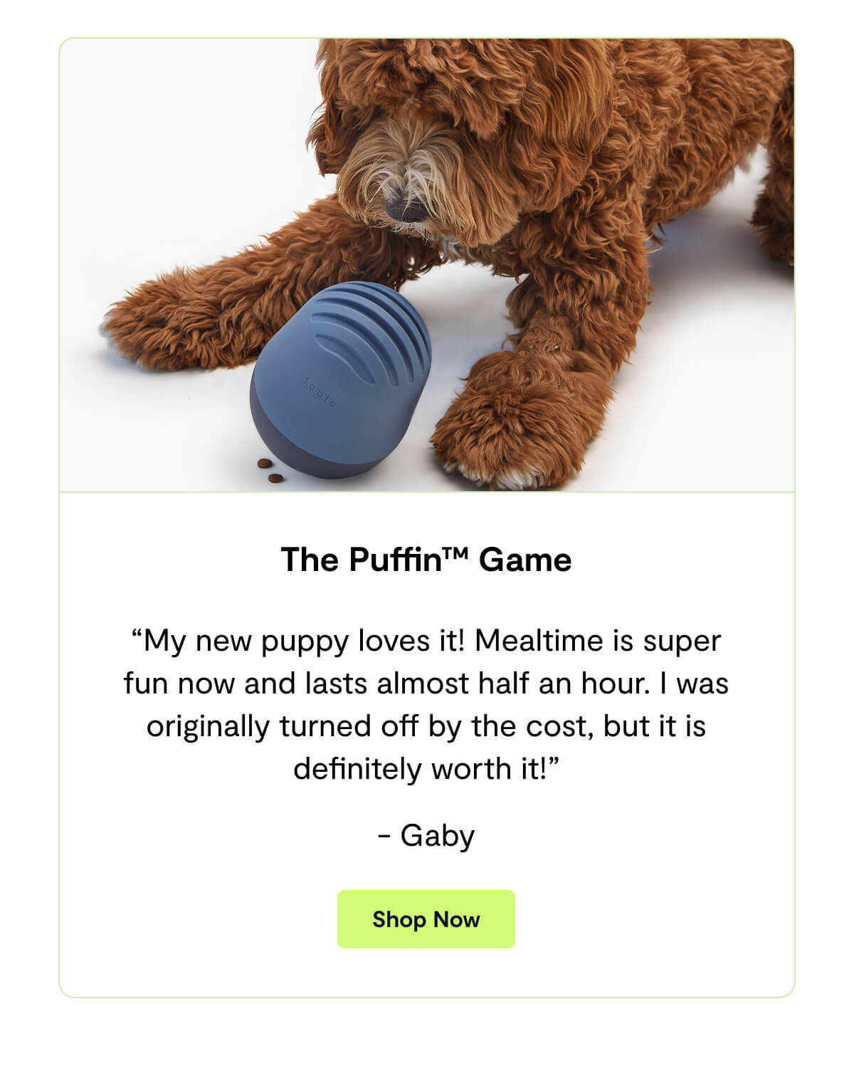The Puffin&trade; Game. &ldquo;My new puppy loves it! Mealtime is super fun now and lasts almost half an hour. I was originally turned off by the cost, but it is definitely worth it!&rdquo; - Gaby. Shop Now