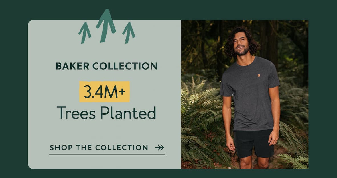Shop Baker Collection