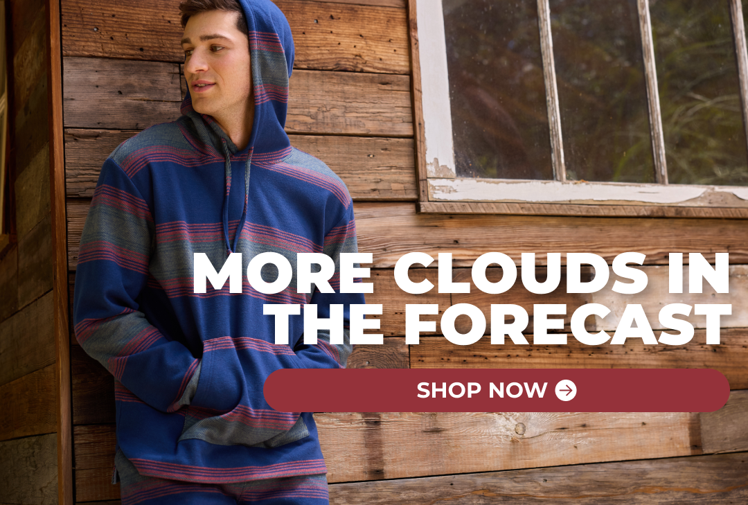 MORE CLOUDS IN THE FORECAST