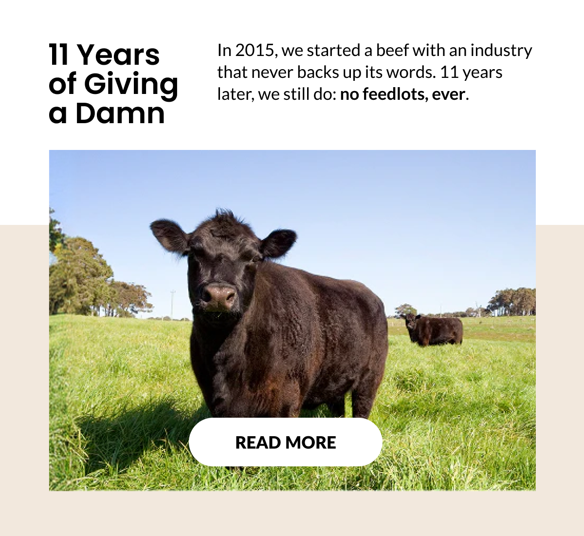 11 Years of Giving a Damn | READ MORE