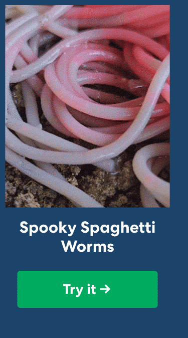 Spooky Spaghetti Worms. Pink and white spaghetti strands arranged to look like wriggling worms. Try it