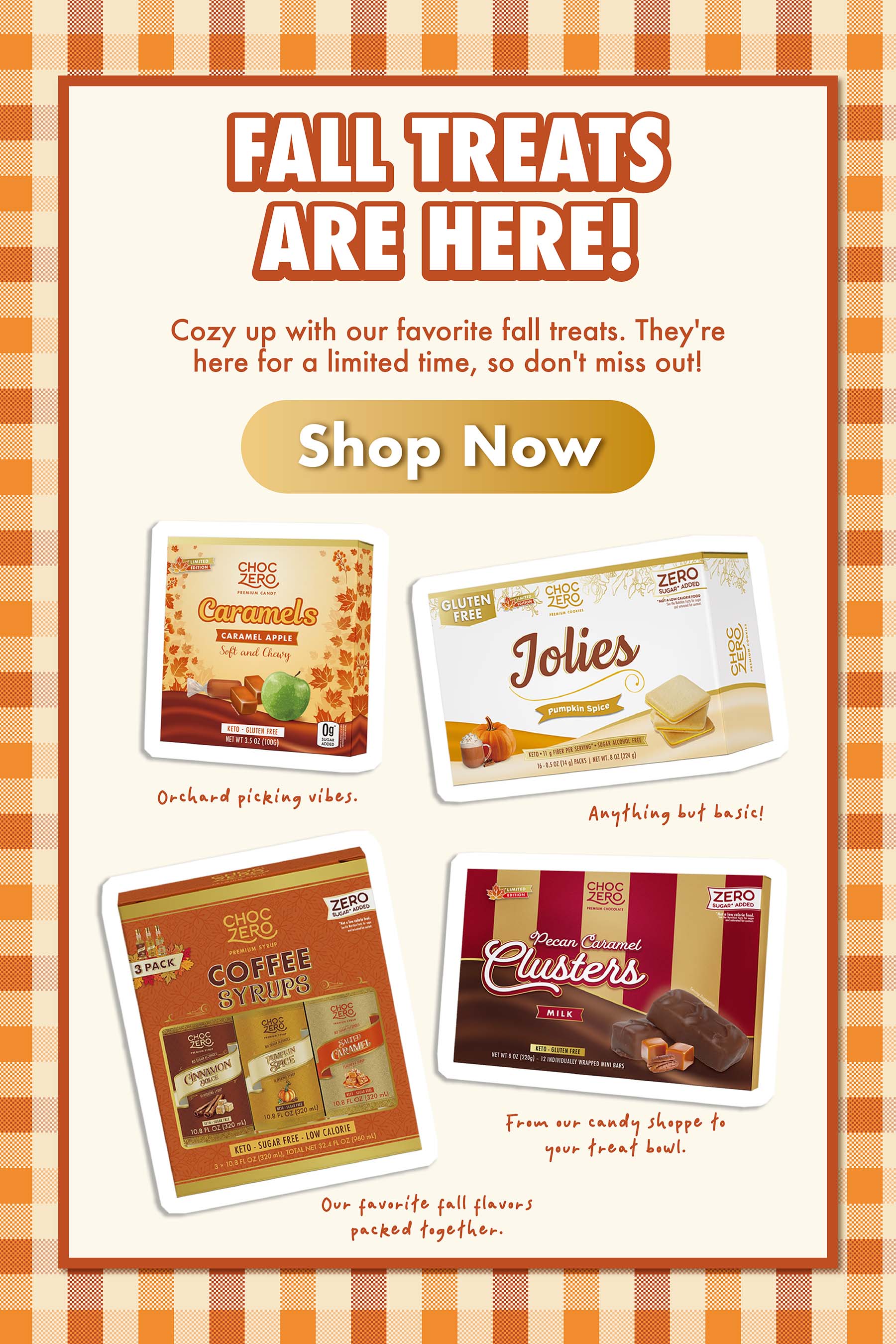 ChocZero fall treats featuring Caramel Apple Caramels, Pumpkin Spice Jolies, Coffee Syrups, and Pecan Caramel Clusters.