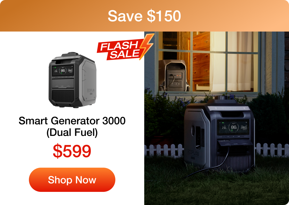 Smart Generator 3000 (Dual Fuel)