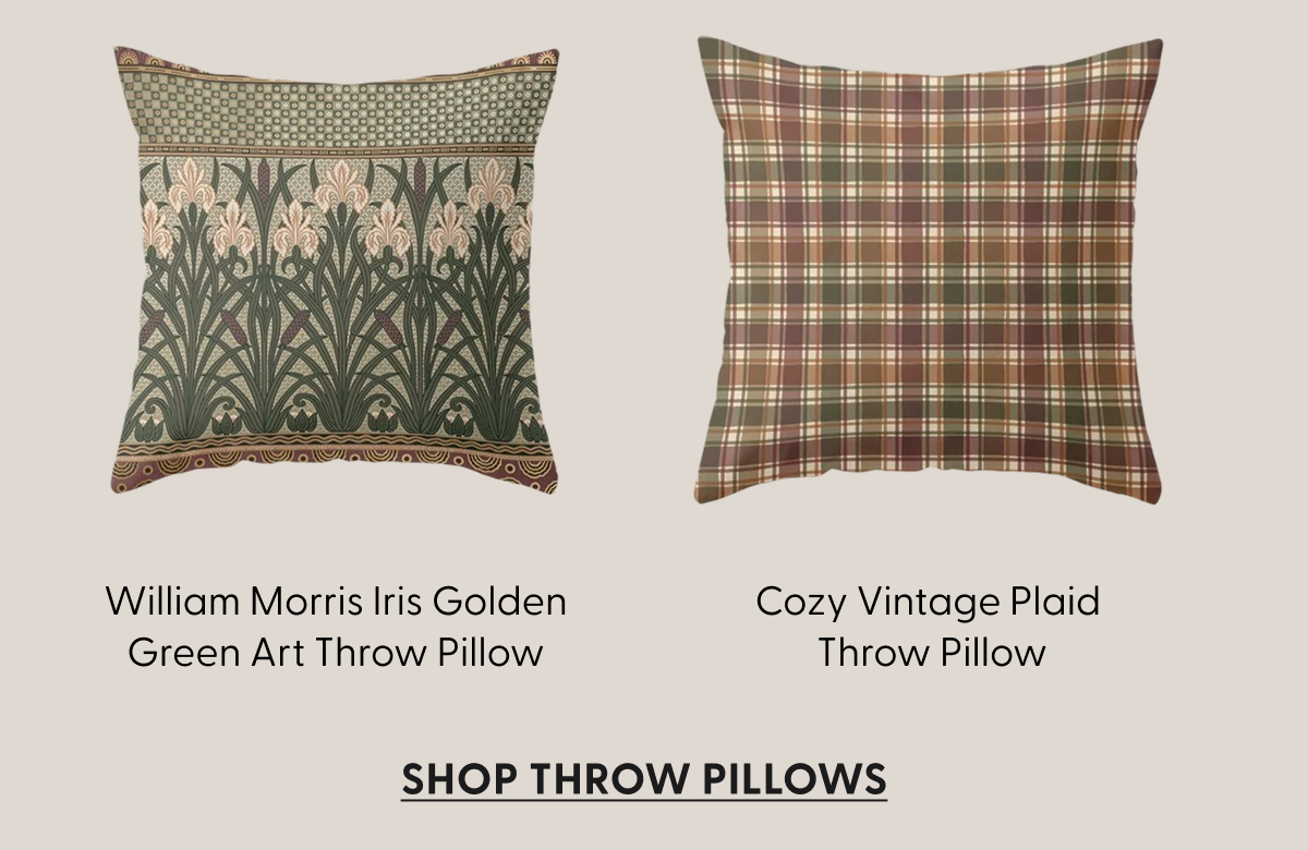 Shop Throw Pillows