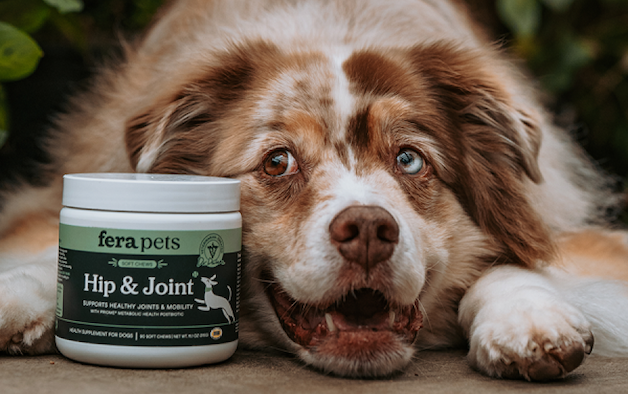  Real support, thoughtfully formulated for everyday health
