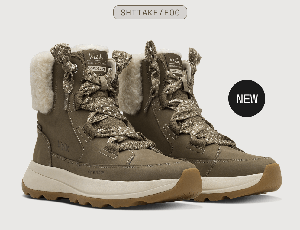 shitake fog