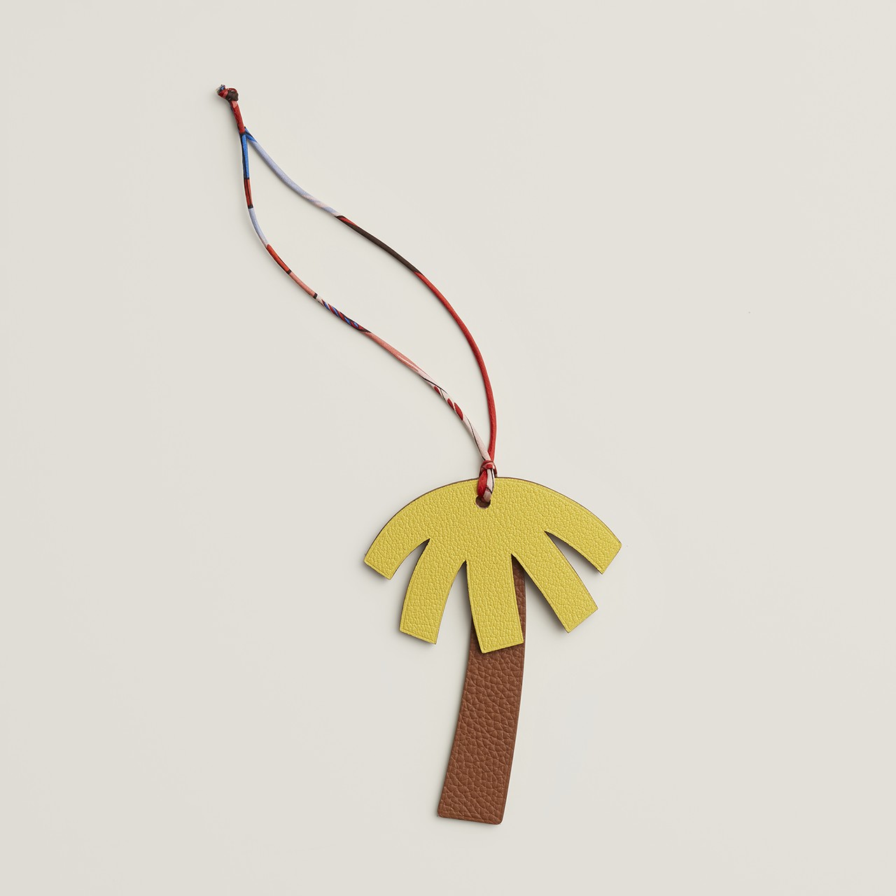 Visual of the Palm charm
