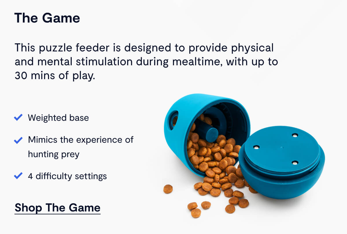 Shop The Game