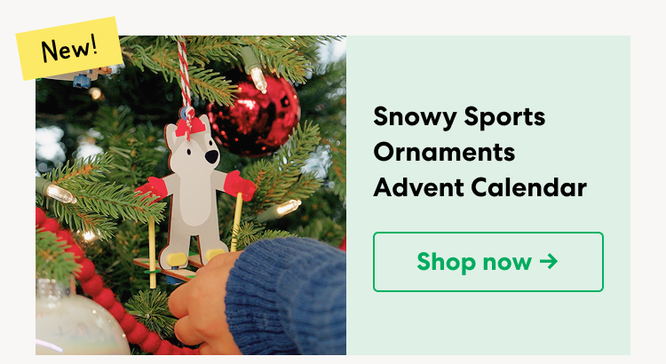 NEW! Snowy Sports Ornaments Advent Calendar. Make 12 ornaments that celebrate winter sports. Shop now.