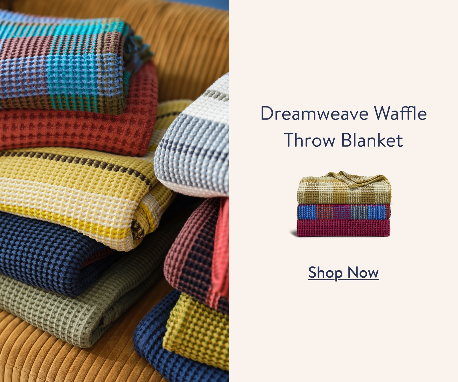 Shop Now
