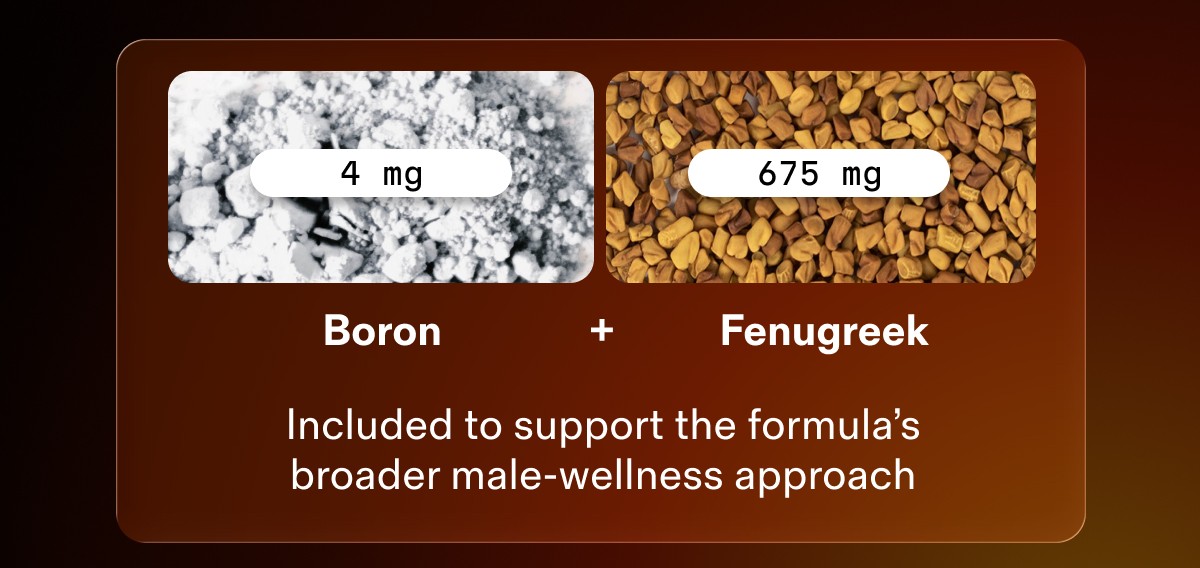 Included to support the formula&rsquo;s broader male-wellness approach