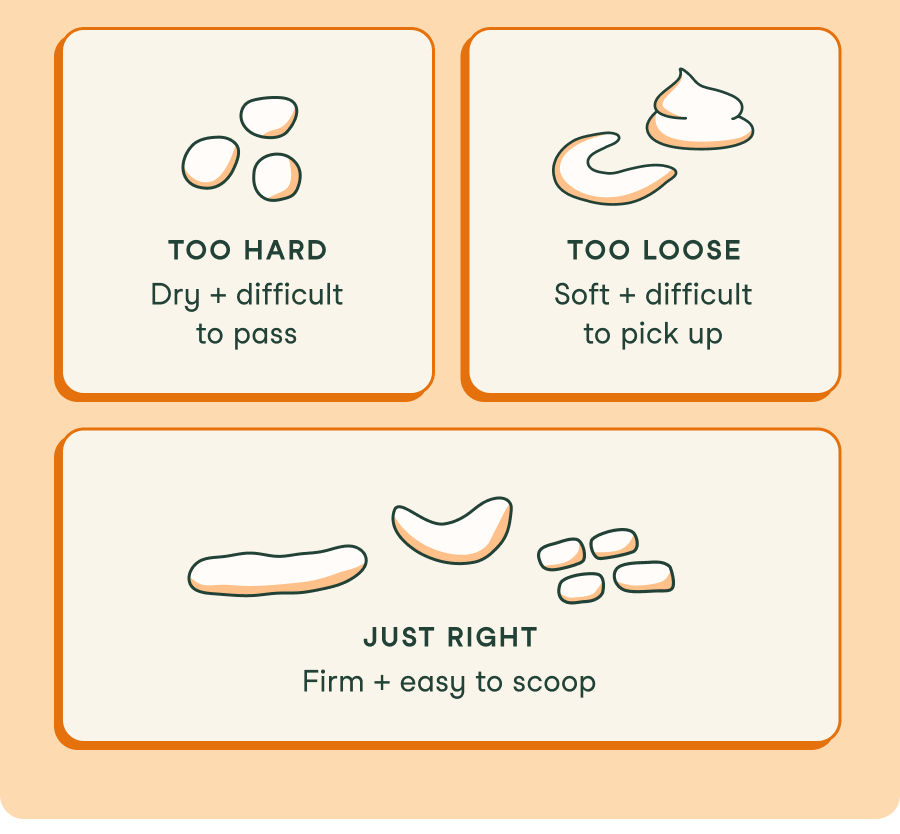 Healthy poop should be firm, formed, and easy to pick up. If things regularly land on either end of the spectrum, the gut may need some extra support.