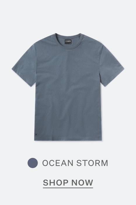 AO Forever Tee in Ocean Storm