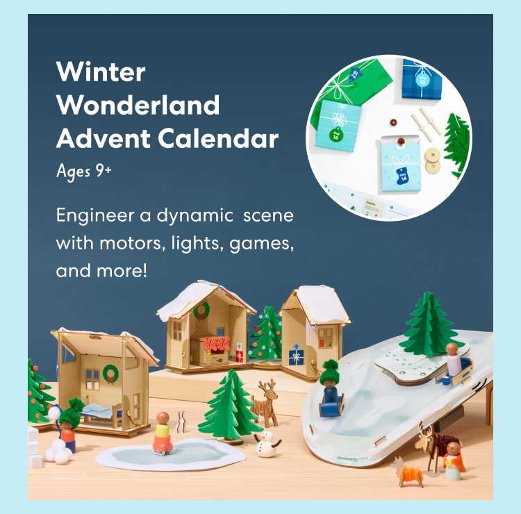 Winter Wonderland Advent Calendar. Engineer a dynamic scene with motors, lights, games, and more! For ages 9 and up.