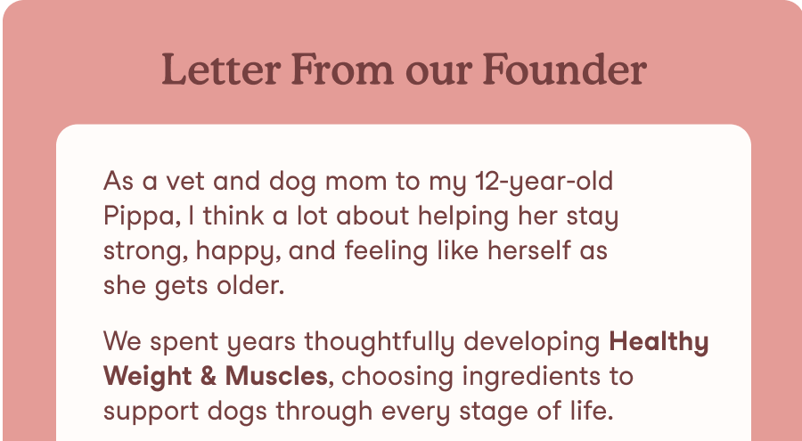 Letter from the Founder
