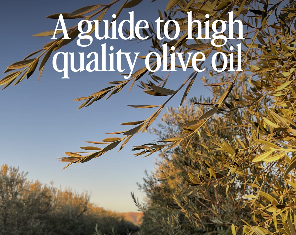 A guide to high quality olive oil