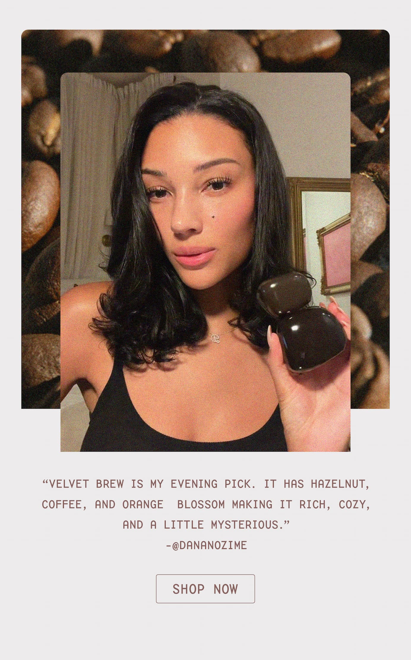 discover velvet brew