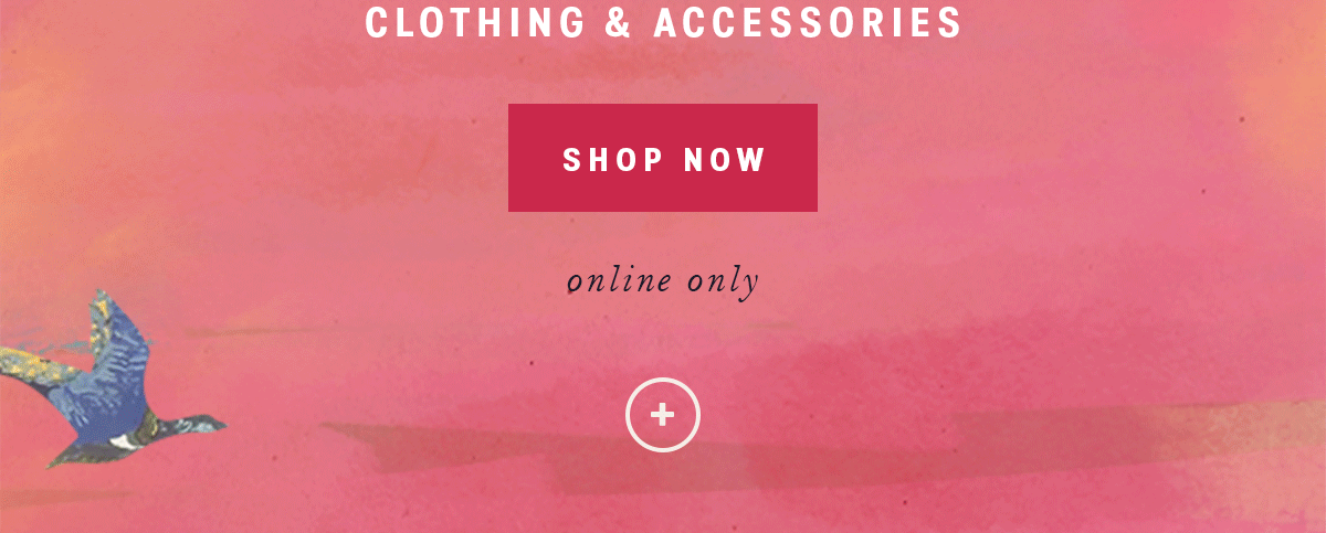 clothing & accessories, shop now