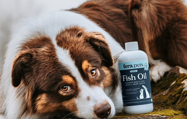 These are the formulas pet parents trust most