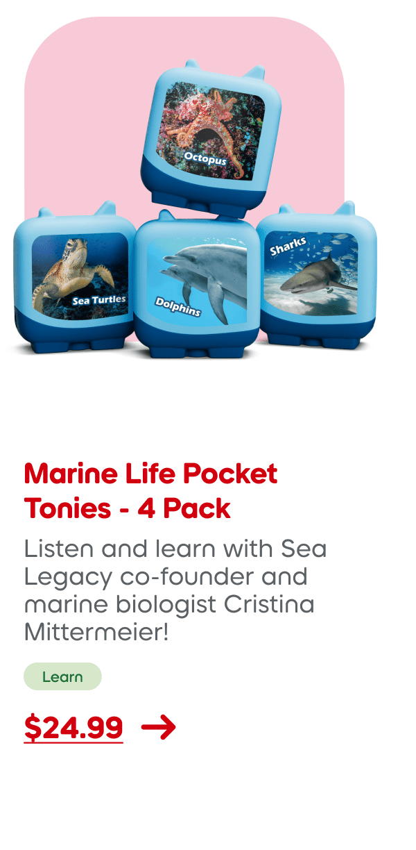 Shop Marine Live Clever Tonies - 4 Pack