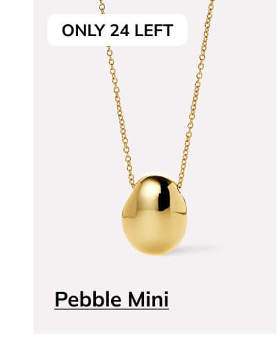 Pebble Mini