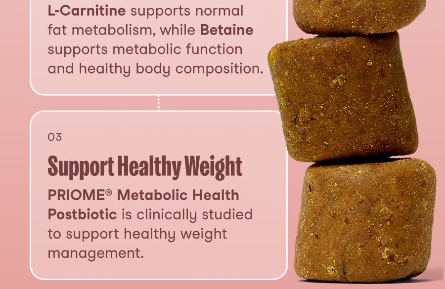 They&rsquo;re all connected. Four targeted ingredients support three key areas of whole-body health.
