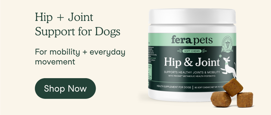 Hip and Joint Support for Dogs
