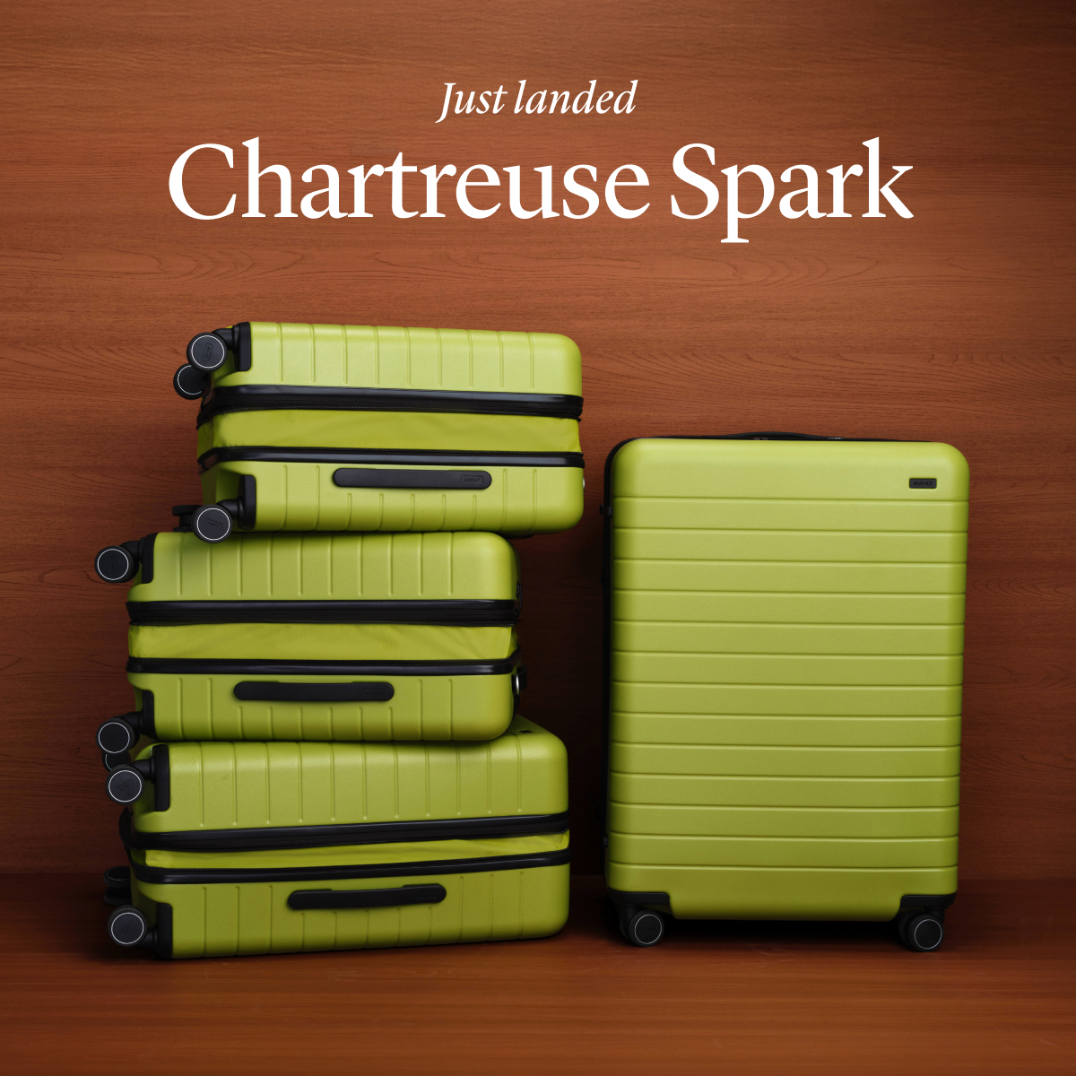 JUST LANDED | Chartreuse