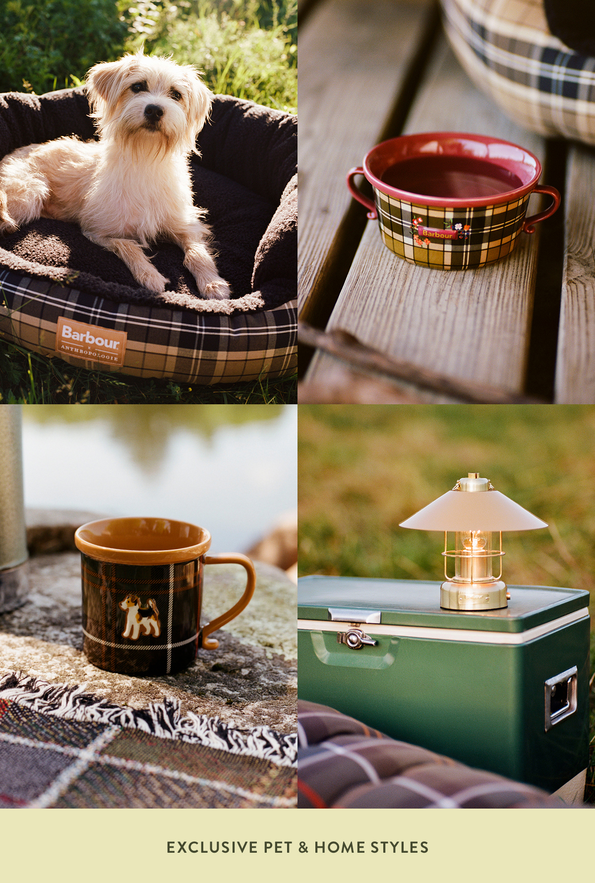 Exclusive Pet & Home Styles