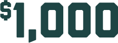 $1,000