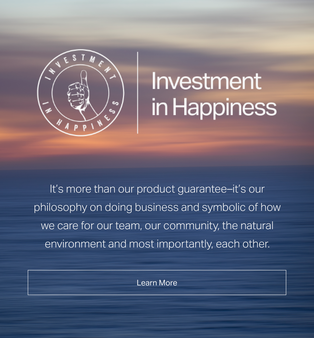 Investment in Happiness