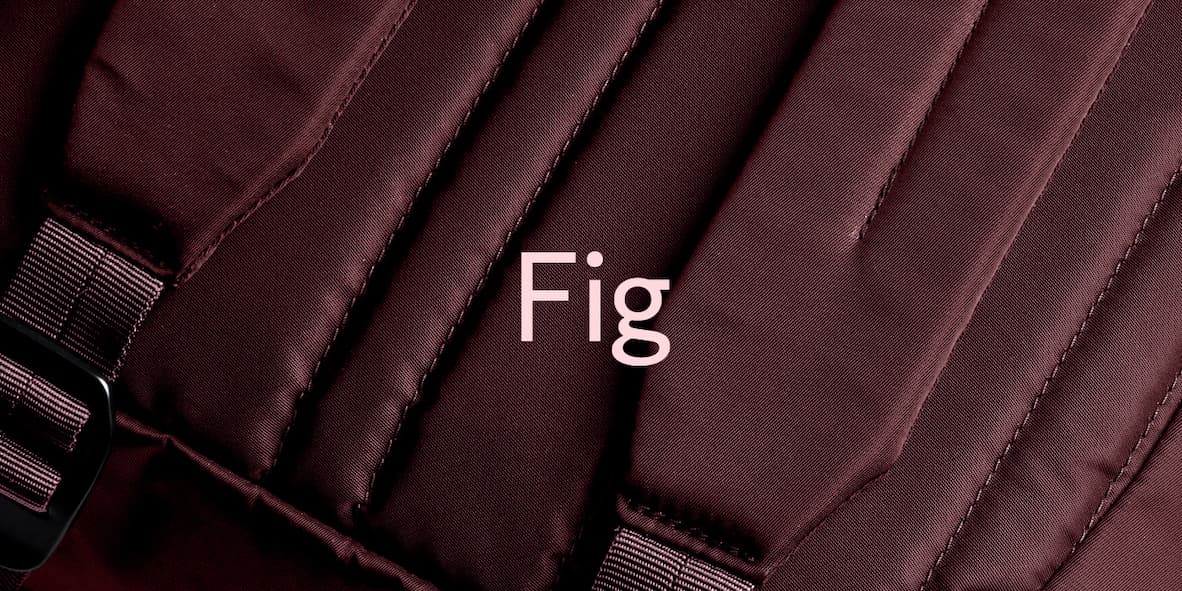 Fig