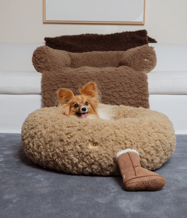 UGG Pet Collection