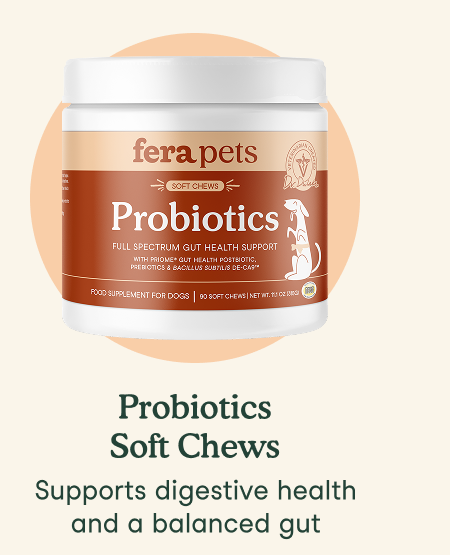 Probiotics Soft Chews
