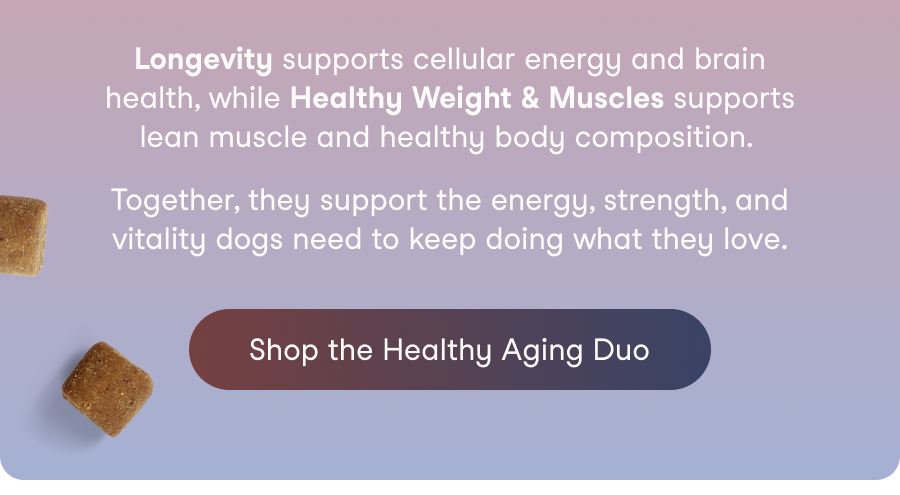 Shop the Healthy Aging Duo