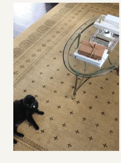 Beatrice Tan Flatwoven Rug