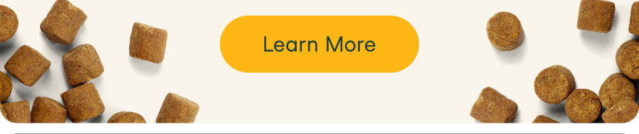 Learn More