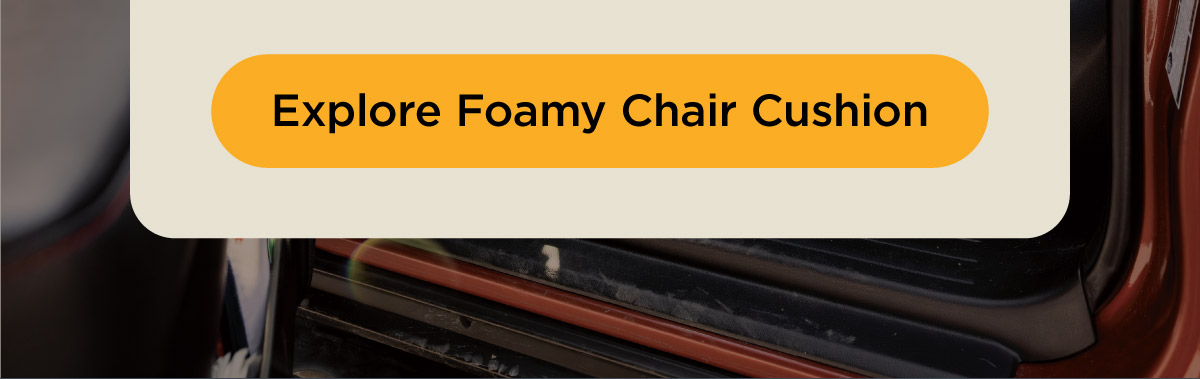 Explore Foamy Chair Cushion