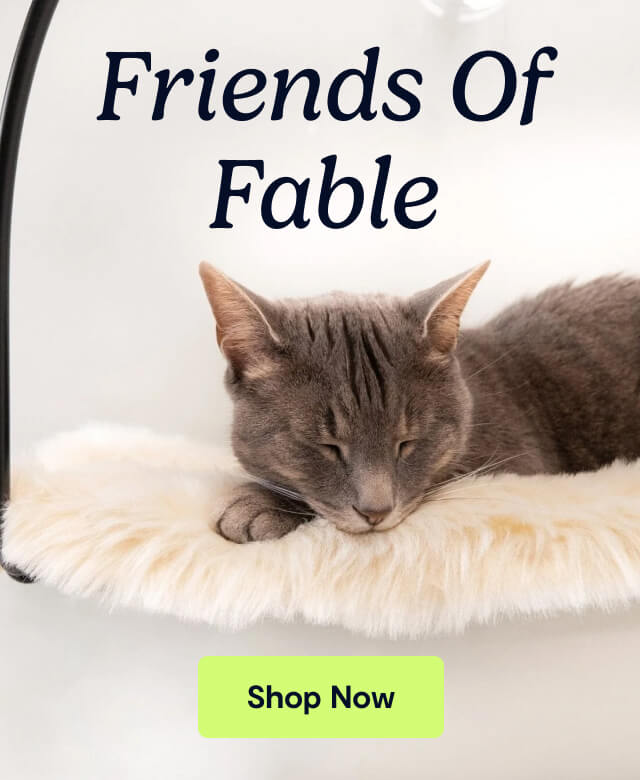 Friends of Fable