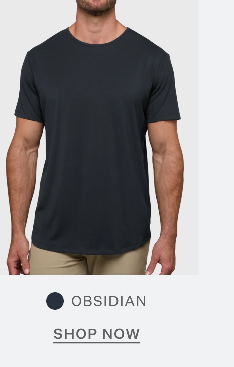 AO Curve-Hem Tee in Obsidian