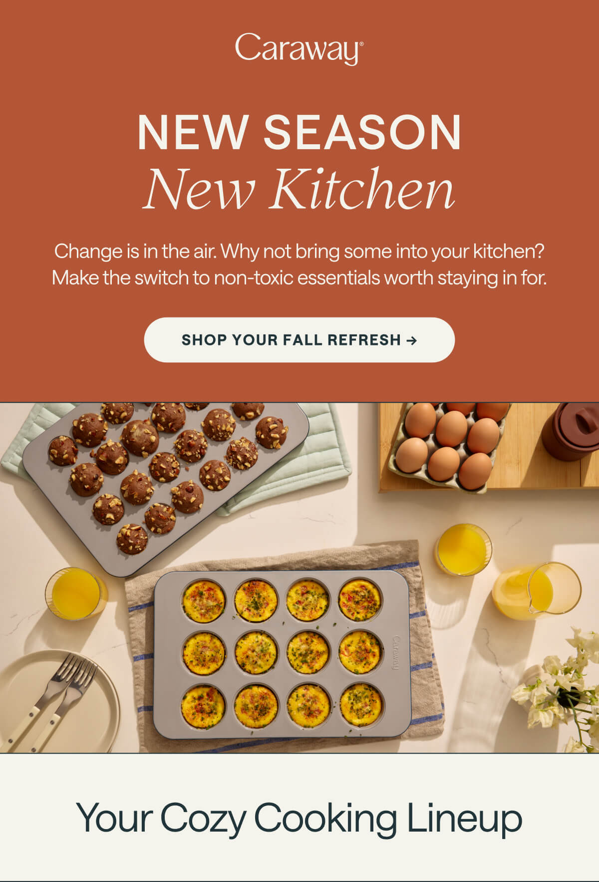 NEW SEASON New Kitchen Change is in the air. Why not bring some into your kitchen? Make the switch to non-toxic essentials worth staying in for. Shop your fall refresh ->