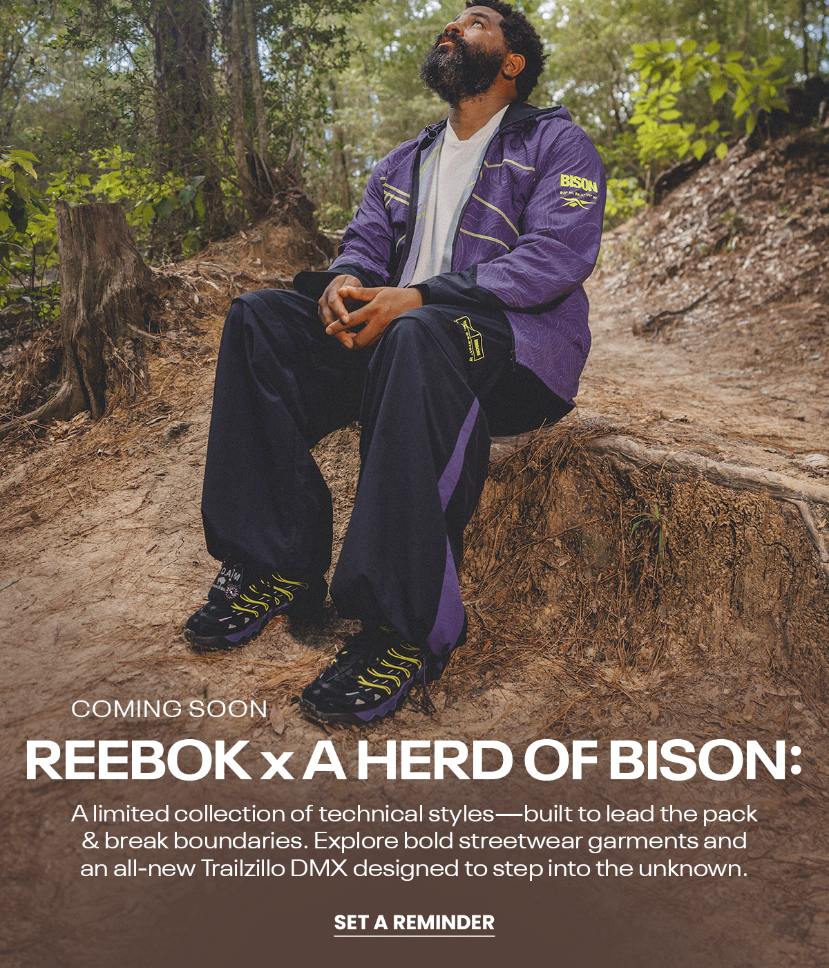 collab-herd-of-bison-edu