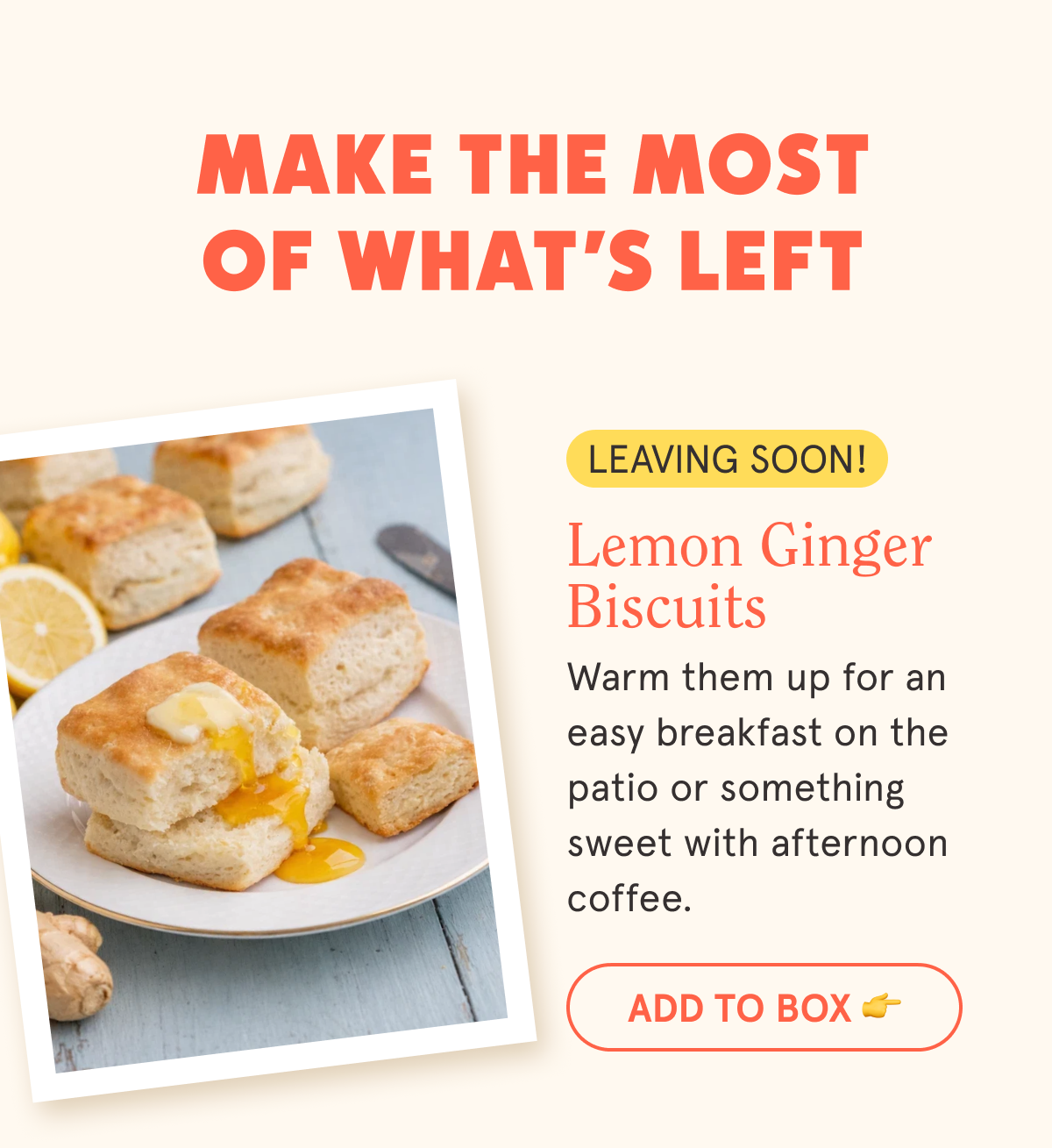 Lemon Ginger Biscuits (Leaving Soon!) Sticker Warm them up for an easy breakfast on the patio or something sweet with afternoon coffee.