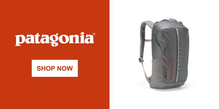 patagonia logo. SHOP NOW