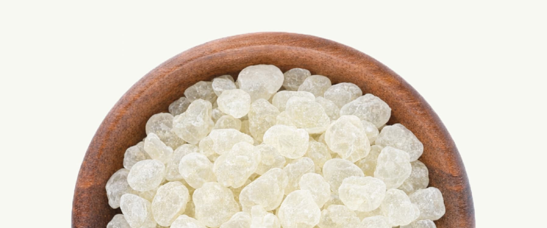 Natural tree resin gum base