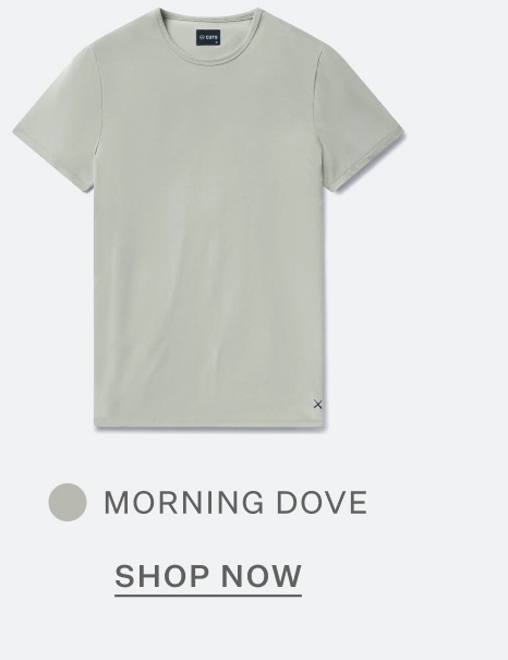 AO Forever Tee in Morning Dove