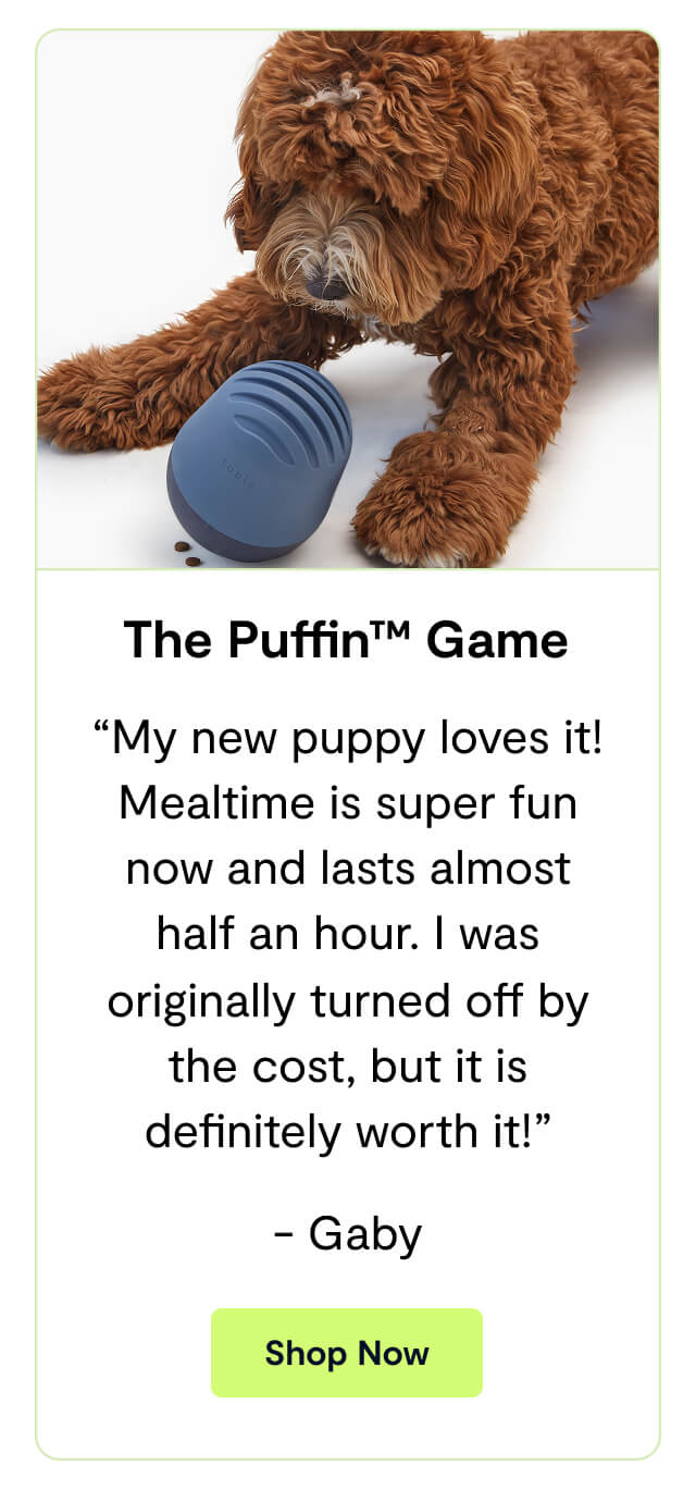 The Puffin&trade; Game. &ldquo;My new puppy loves it! Mealtime is super fun now and lasts almost half an hour. I was originally turned off by the cost, but it is definitely worth it!&rdquo; - Gaby. Shop Now
