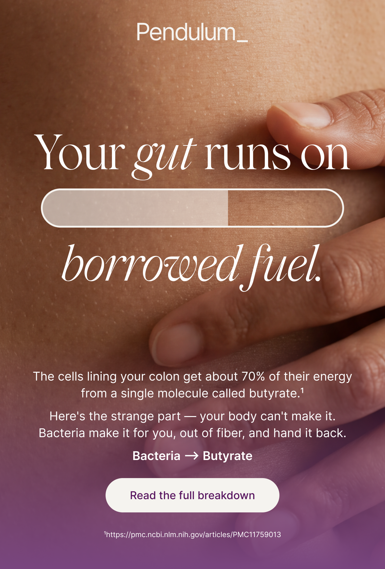 Your gut runs on borrowed fuel. Read the full breakdown.