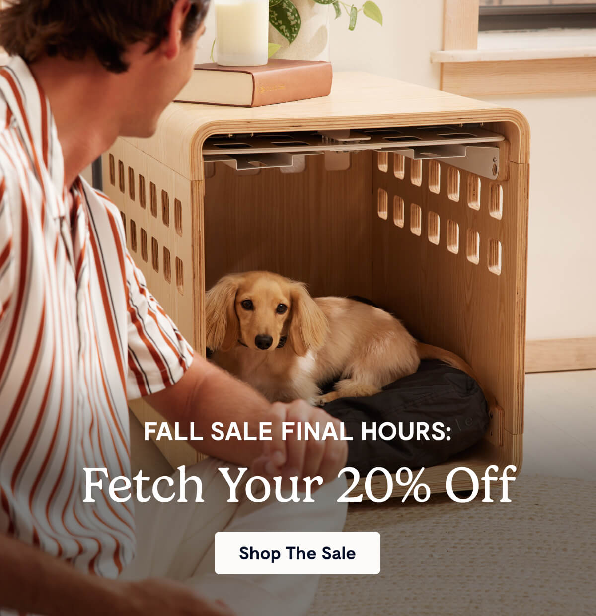 FALL SALE Final Hours: fetch Your 20% Off