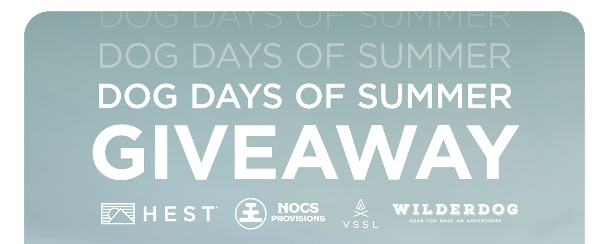 DOG DAYS OF SUMMER GIVEAWAY - featuring products from 4 brands